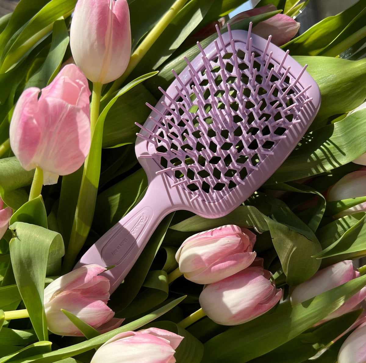 Janeke Super Brush | Italian Hair Brush | HairCare Pro